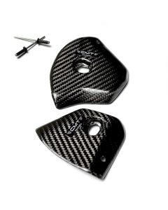 CMT CARBON REAR PANELS PROTECTIONS - KAWASAKI
