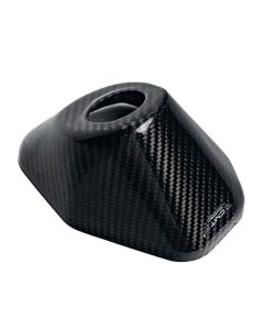 CMT CARBON CAP COVER EXHAUST - KAWASAKI